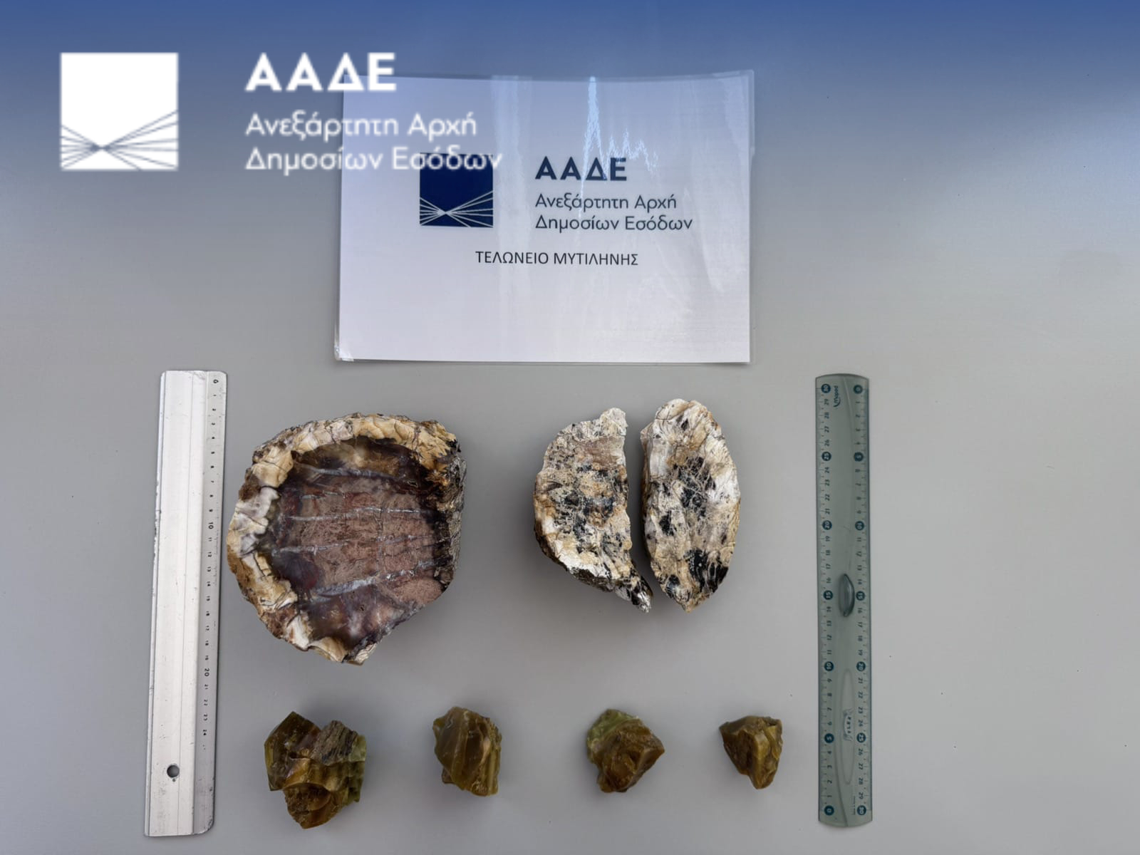 Απολιθώματα από το δάσος της Λέσβου