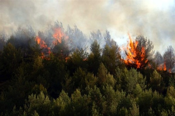 Συμμορία εμπρηστών γνώριζε τους κώδικες επικοινωνίας Αστυνομίας-Πυροσβεστικής