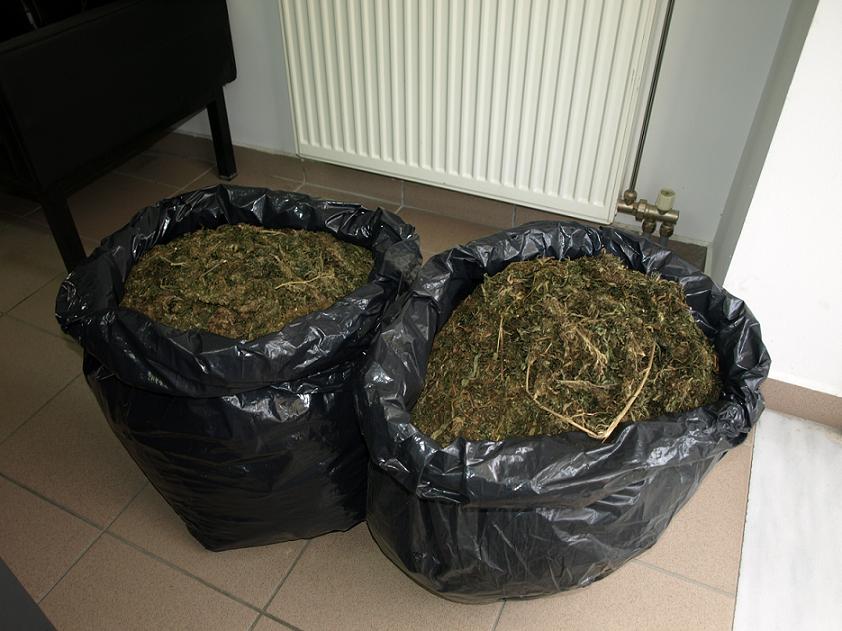 Αχαΐα: Εξαρθρώθηκε εγκληματική οργάνωση που πωλούσε ναρκωτικά