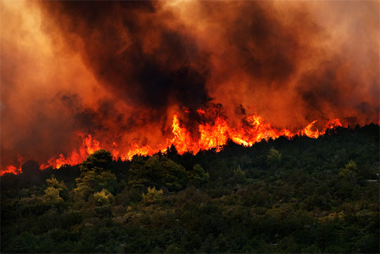Αποκάλυψη Δένδια:”Δεν έχουμε πόρους για την αντιπυρική περίοδο”