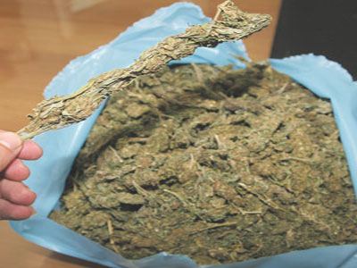 Μισός τόνος χασίς σε αεροσκάφος