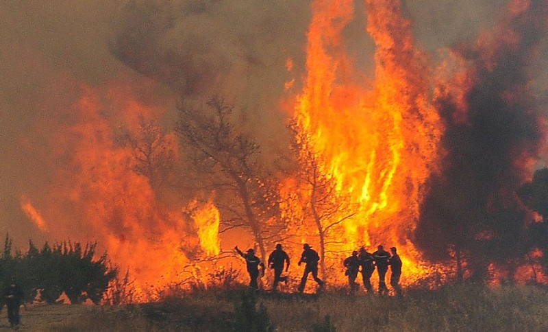Τρόμος στη Μαλεσίνα από την αναζωπύρωση της φωτιάς