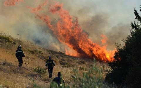 Κρατείται ύποπτος για τις δασικές πυρκαγιές στο Καματερό