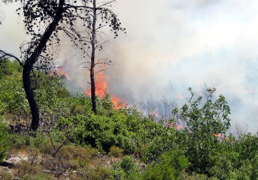 Ενώπιον του ανακριτή θα βρεθούν αύριο οι 2 συλληφθέντες για τη φωτιά στο Αντισκάρι