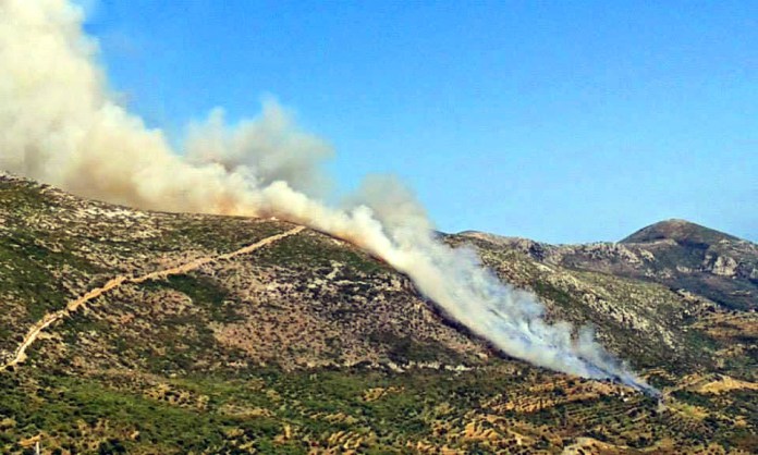 Προφυλακίστηκε ο 39χρονος κατηγορούμενος για τις φωτιές στου Καρέα