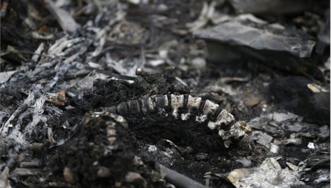 Η συγγνώμη του του Sky News για την τυμβωρυχία στα συντρίμμια της πτήσης ΜΗ-17 [βίντεο]