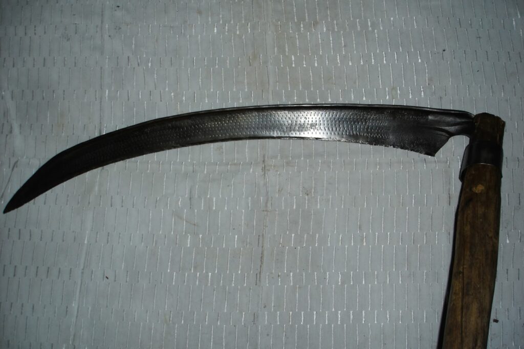 60χρονος συνελήφθη για παιδική πορνογραφία – επιχείρησε να χτυπήσει αστυνομικούς με δρεπάνι