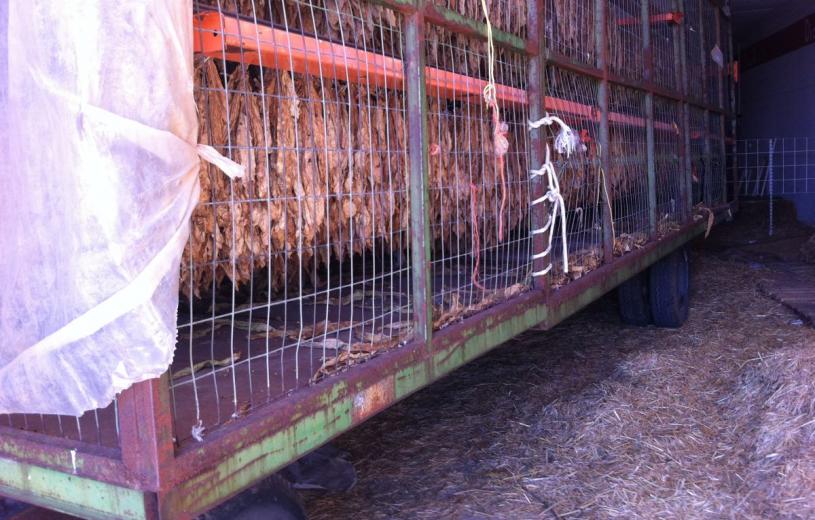 Φθιώτιδα: Συλλήψεις για σχεδόν 1 τόνο λαθραίου καπνού