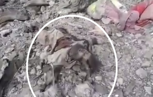 Κομμάτια έγιναν οι τζιχαντιστές από βόμβα στο Κομπάνι (βίντεο,σκληρές εικόνες)