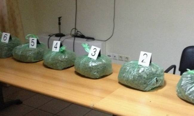 Χίος: Εντοπίστηκαν 6 κιλά κάνναβης σε βουνό