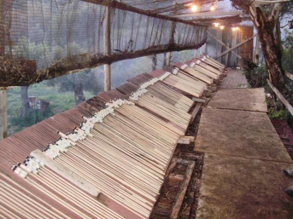 Κατάσχεση ρουκετών στη Χίο