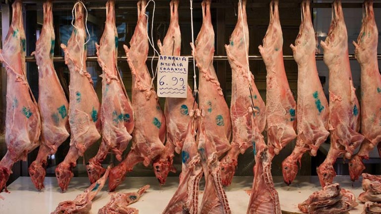 Το ΣΔΟΕ εντόπισε παράνομη διακίνηση αμνοεριφίων