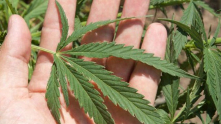 Ιεράπετρα: Τον «πρόδωσαν» οι γλάστρες