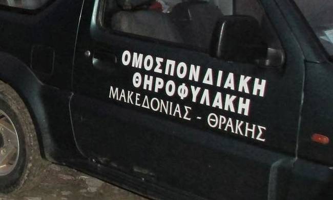 Δράμα: Λαθροθήρας επιτέθηκε σε δασοφύλακα – Συνελήφθη μετά από καταδίωξη