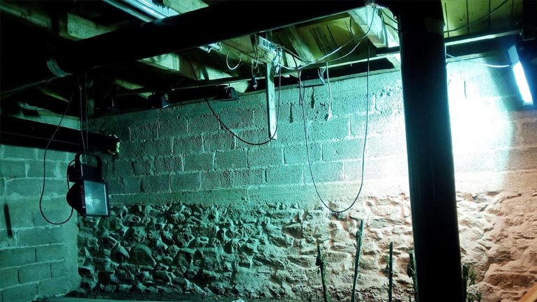 Συνέλαβαν αδερφό τραγουδιστή για καλλιέργεια χασίς