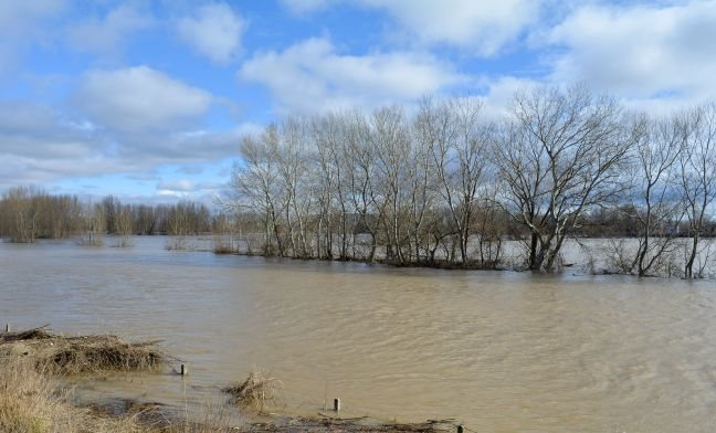 Προωθούσαν λαθρομετανάστες στη χώρα μέσω Έβρου