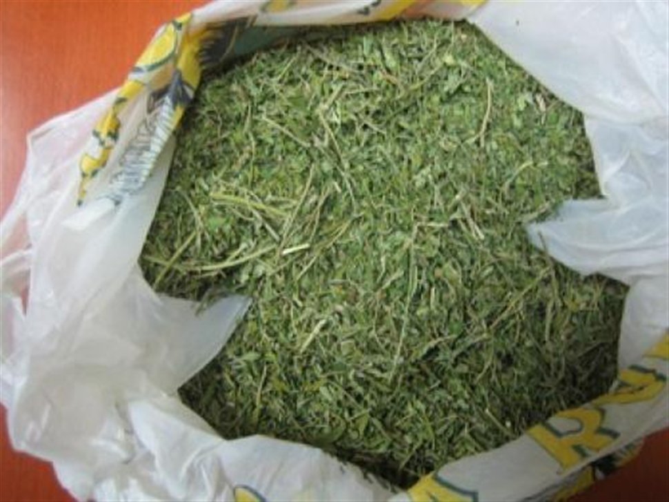 Συνελήφθη 34χρονος για κατοχή ναρκωτικών στη Σπάρτη