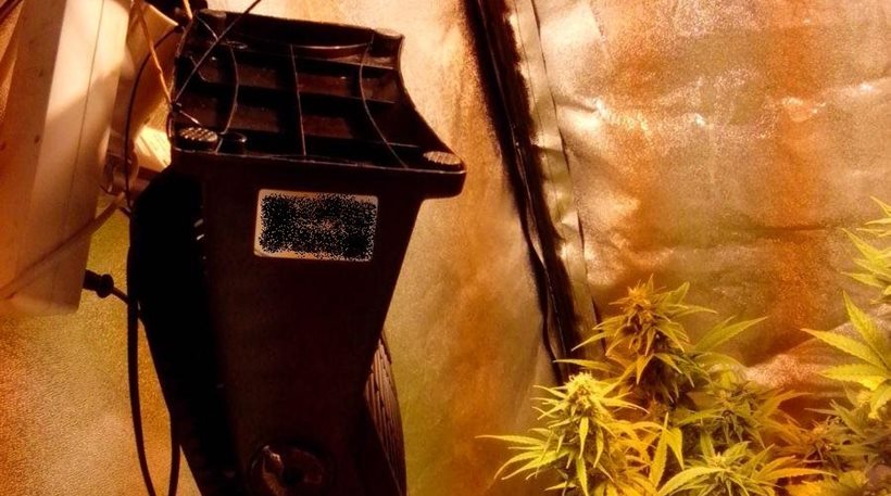 Συνελήφθη 32χρονος που είχε μετατρέψει το σπίτι του σε αυτοσχέδιο θερμοκήπιο κάνναβης (εικόνες)