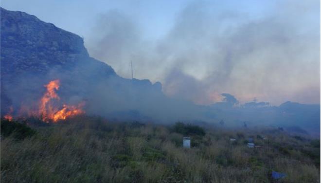 Πυρκαγιά στα Βίλια – Δεν κινδυνεύει κατοικημένη περιοχή