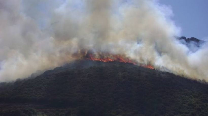 Συλλήψεις για τις πυρκαγιές σε Χαλκιδική και Ωρωπό