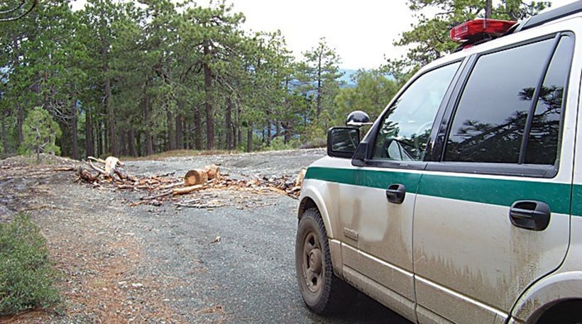 Πούλησε παράνομα δόκανα σε… δασοφύλακα!