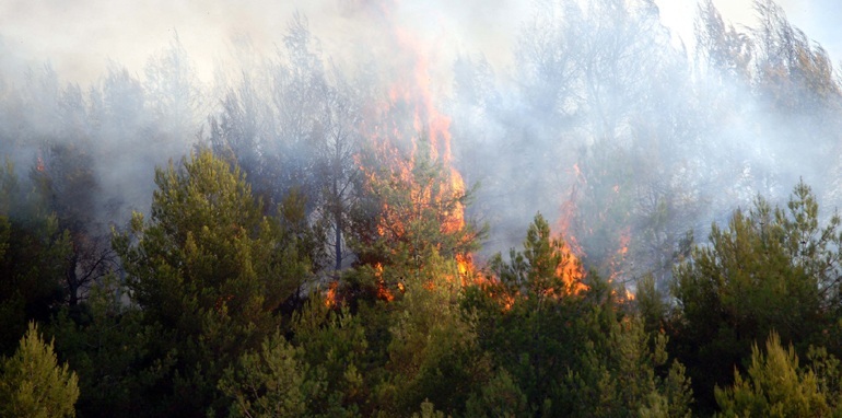 Νέα μεγάλη πυρκαγιά στη Νεμέα