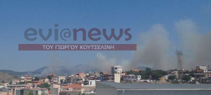 Φωτιά και στη Χαλκίδα – Εκκενώνονται δύο οικισμοί [εικόνες]