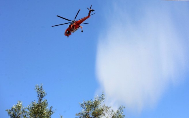 Έκκληση για συνδρομή για την πυρκαγιά στη Λακωνία