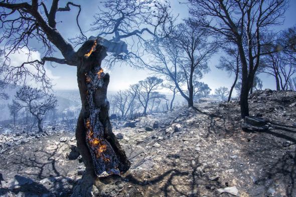 Σε επιφυλακή για τις φωτιές η Περιφέρεια Αττικής – Οδηγίες στους πολίτες
