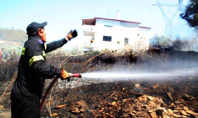 Αργολίδα: Υπό έλεγχο τα μέτωπα σε Ασίνη και Λευκάκια