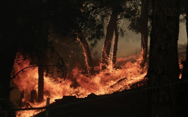 Σε εξέλιξη δύο δασικές πυρκαγιές σε Ασίνη και Λευκάκια στο Ναύπλιο