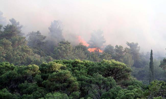 Πυρκαγιά και στη Σάμο ξέσπασε τη Δευτέρα (20/7)