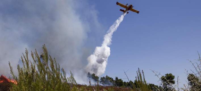 Σε πύρινο κλοιό το δάσος της Στροφυλιάς [εικόνες]