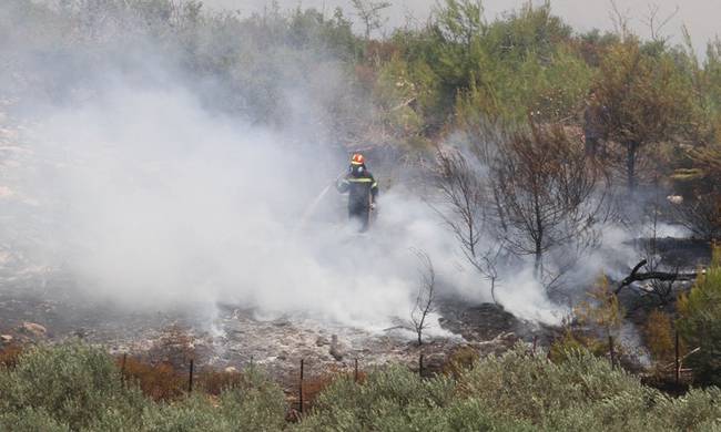 Πυρκαγιά στην Εύβοια – Γλύτωσε από τις φλόγες ο οικισμός Μακρυκάπα