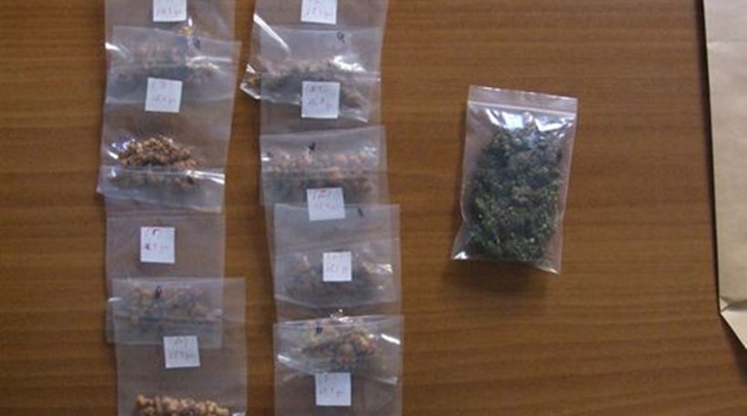 Σάντουιτς με… παραισθησιογόνα μανιτάρια στα Τρίκαλα!