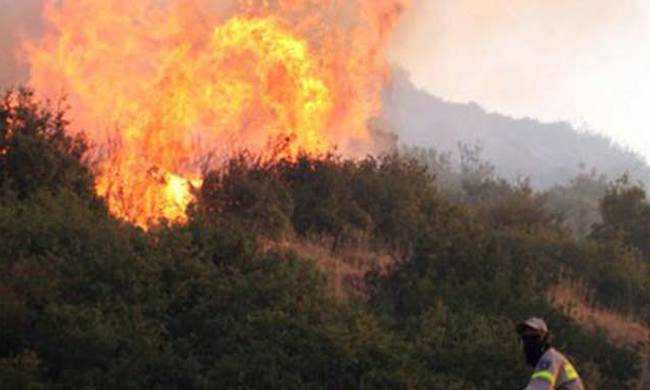 Μεγάλη πυρκαγιά στα Κάτω Δολιανά Αρκαδίας