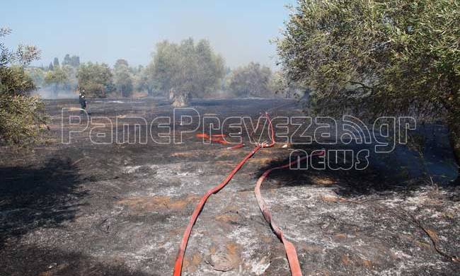 Πρέβεζα: Στους φράχτες των σπιτιών η φωτιά