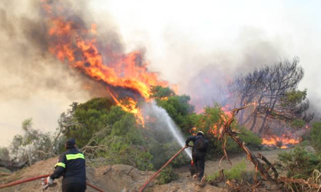Σε εξέλιξη βρίσκεται πυρκαγιά στα Οινόφυτα