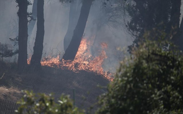 Σε ύφεση τα πύρινα μέτωπα στην Ηλεία