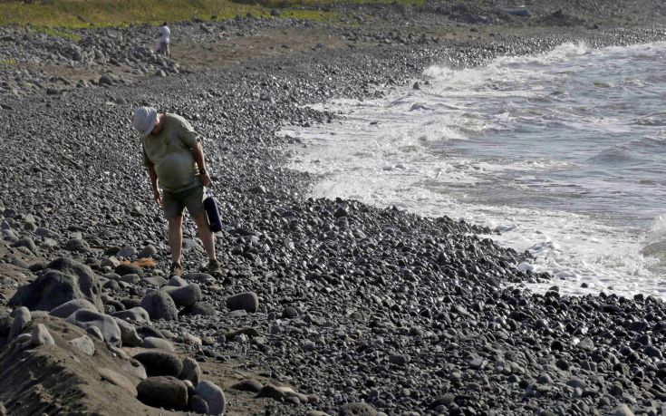 Στο μικροσκόπιο το πτερύγιο που ξεβράστηκε στο Ρεϊνιόν