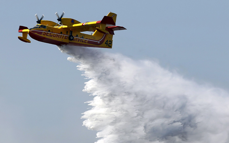 Στις φλόγες στρέμματα δασικής έκτασης στην Κέρκυρα