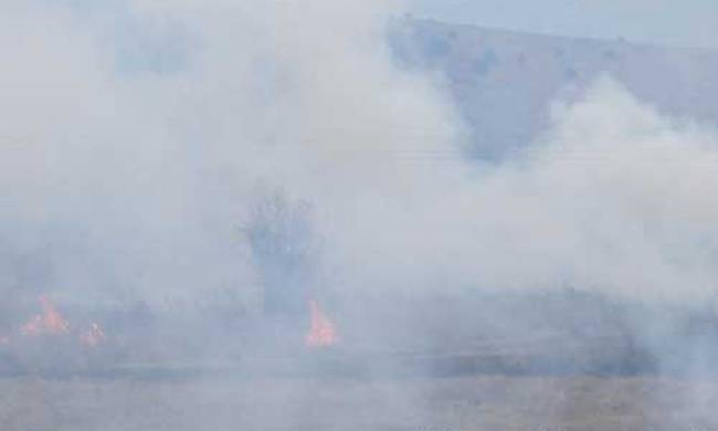 Υπό μερικό έλεγχο η φωτιά στο Άκτιο – Κάηκε στέγη σπιτιού