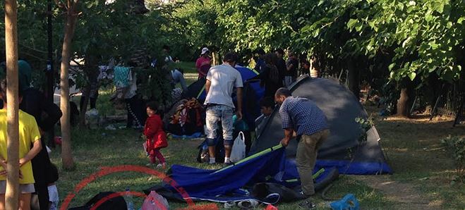 Πότε θα εγκατασταθούν οι πρώτοι λαθρομετανάστες στον Ελαιώνα