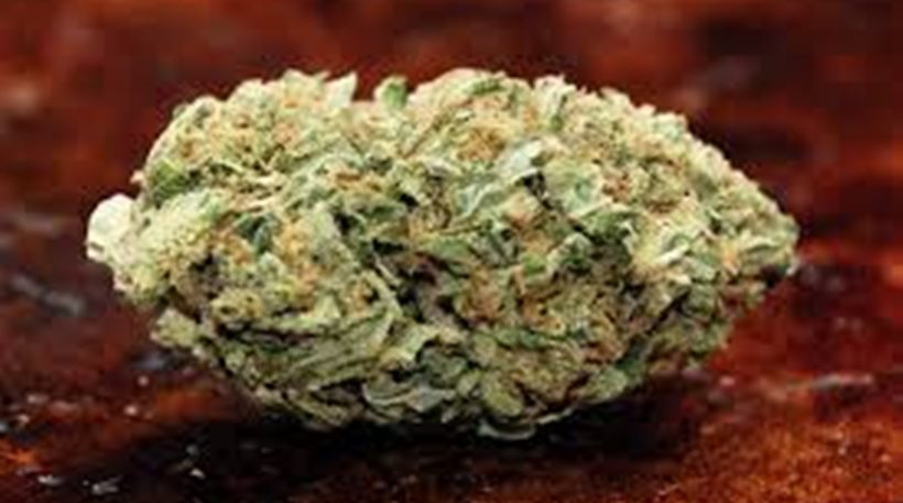 Ανήλικος σε ελληνοαλβανική σπείρα διακίνησης skank