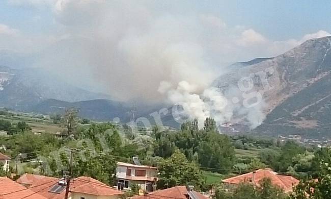 «Συναγερμός» στην Πυροσβεστική – Πυρκαγιά στην Πάργα (εικόνες)