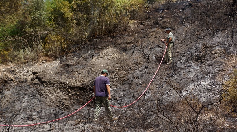 Πρόλαβαν τη φωτιά στη Ρόδο πριν κατακάψει το πευκόδασος (εικόνες)