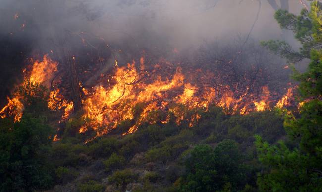 Μαίνεται το πύρινο μέτωπο στο Ξυλόκαστρο (vid, εικόνες)