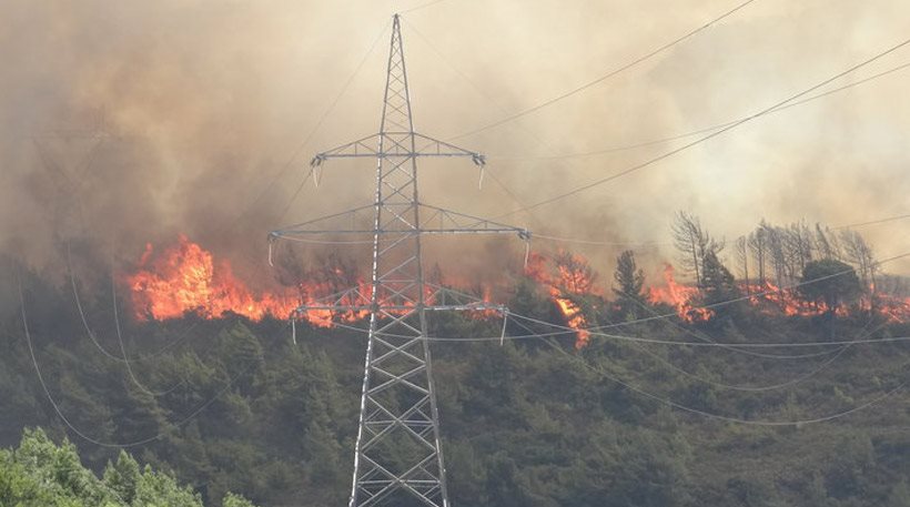Σε εξέλιξη η πυρκαγιά στη Ρόδο: Εκκενώθηκαν οικισμοί- Ενισχύσεις από Αθήνα και Θεσσαλονίκη (εικόνες)