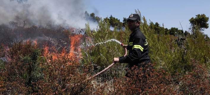 Υπό έλεγχο η πυρκαγιά στην Κέρκυρα