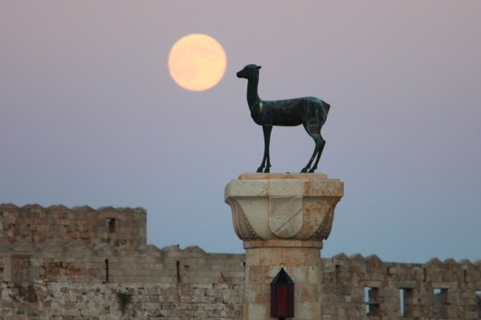 Ρόδος: Άναψε φωτιές η ανήθικη πρόταση του Πακιστανού με τα πλαστά DVD!